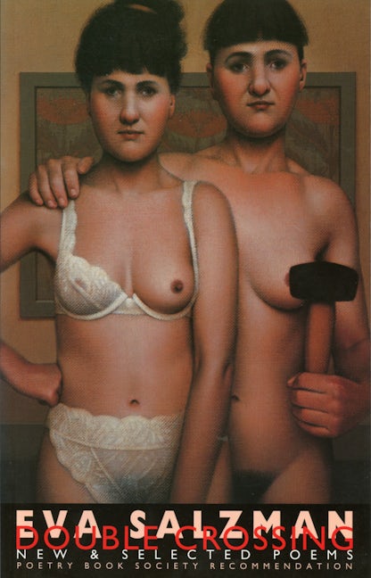 Book cover image for Double Crossing ISBN: 9781852246617